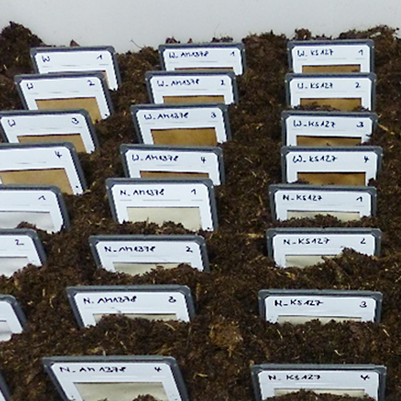 NewHyPe Laboratory Compost Test